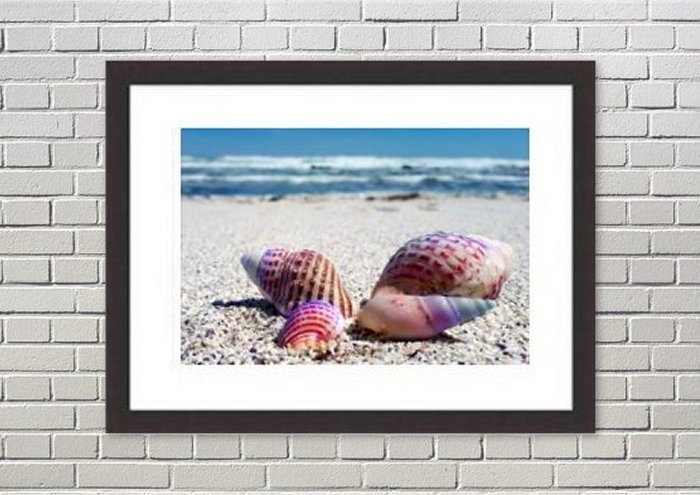 Framed Print Framed Print